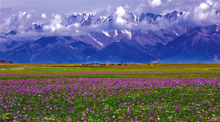 File:Xinjiang Food.jpg