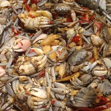 Drunk Crab.jpg