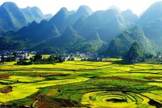 Guizhou Food.jpg