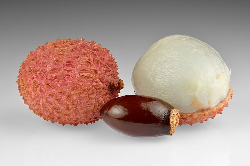 File:Lychee fruits Chinese Food Wiki.jpg