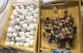 Thumbnail for version as of 00:39, 24 September 2026